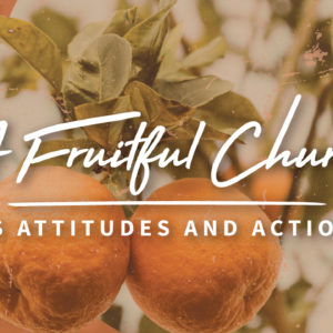 A Fruitful Church Learns Christ